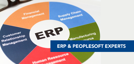 ERP & PeopleSoft Experts